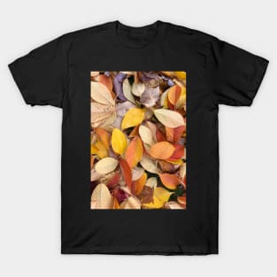 Colorful Fall T-Shirt